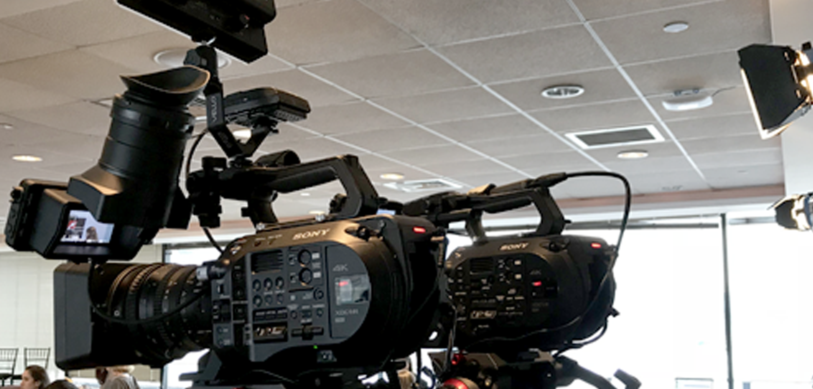 Social Video Production